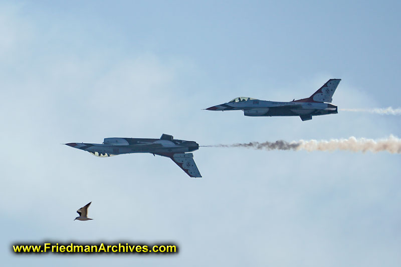 flight,airplane,fighter,jet,military,air force,show-off,